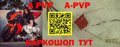 наркотики Кингисепп