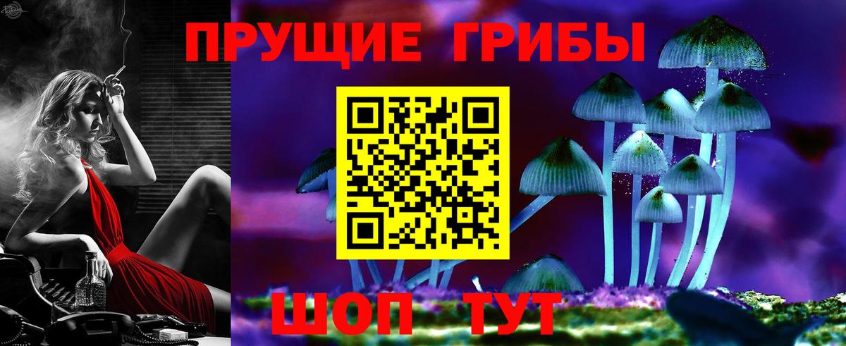 Электросталь  купить закладку  Вход с VPN  Галлюциногенные грибы Cubensis  Псилоцибиновые грибы прущие грибы 